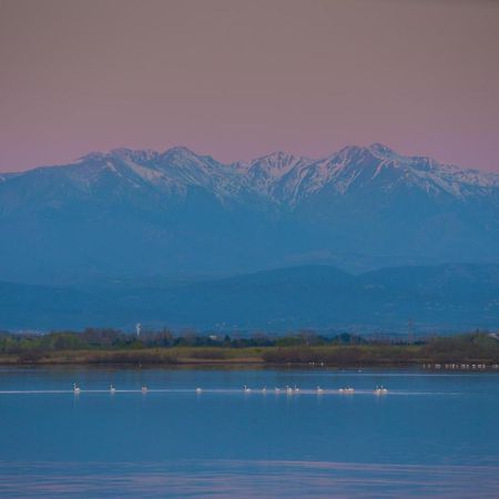 "Chill" Magnifique Vue Sur La Mer Et Le Port Au Coeur De La Ville En Premiere Ligne Canet-en-Roussillon Exterior foto
