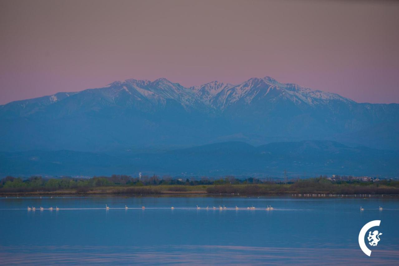 "Chill" Magnifique Vue Sur La Mer Et Le Port Au Coeur De La Ville En Premiere Ligne Canet-en-Roussillon Exterior foto